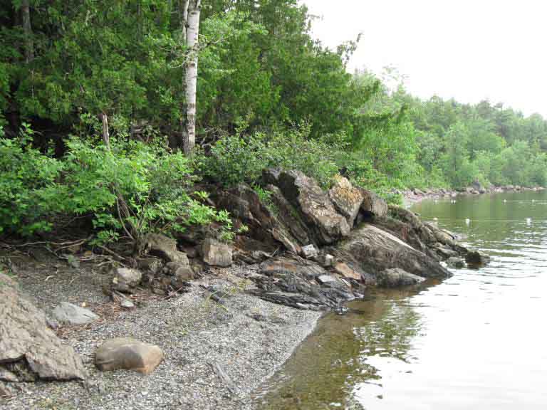 Colour photograph of beach pebbles, rocky shoreline, trees and water