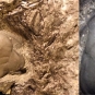 Double colour image of brown rock with three fossilized bumps and close-up