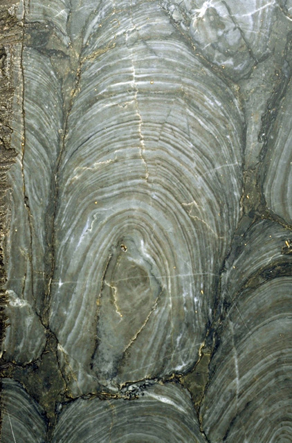 Colour image of gray rock with light gray circles