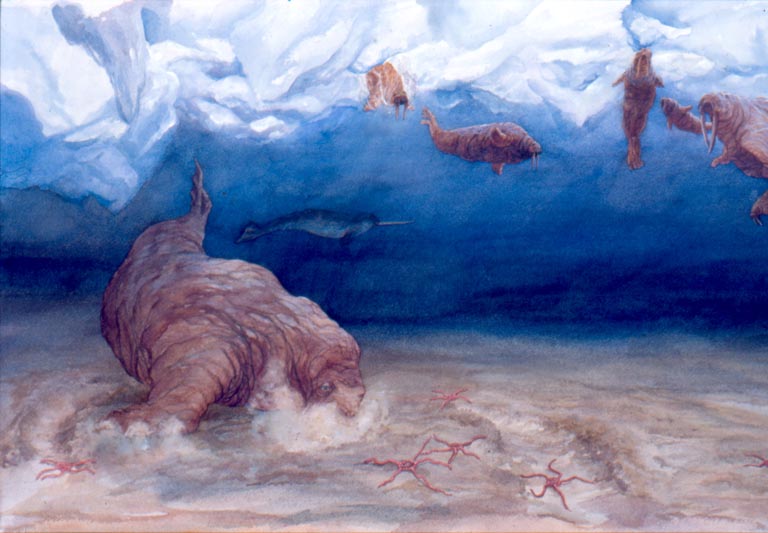 Watercolour painting of a walrus swimming in a blue ocean with red mud on the bottom and ice above