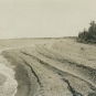 Black and white photograph of a beach on the ocean with trees
