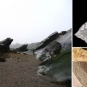 Triple colour image of angled black rocks, a gray plant fossil and a brown insect fossil