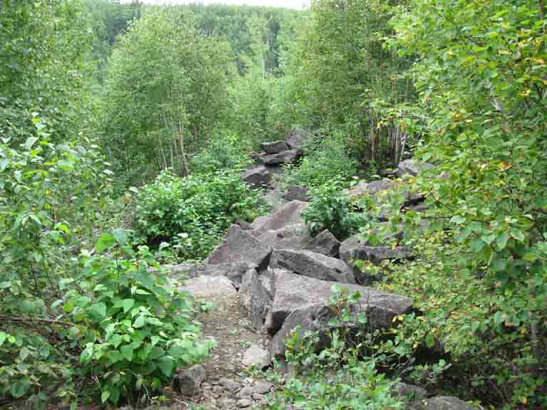 Colour photograph of large blocks of rock surrounded by trees